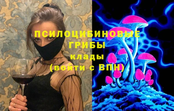 эйфоретик Верея